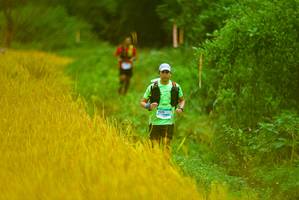 BIB: 
                            <button type="button" onclick="openModal(13455527)" class="btn btn-primary btn-sm float-right btn-popup" data-toggle="modal" data-target=".modal-high-quality">
                        <i class="fas fa-shopping-cart"></i> Add to Cart
                    </button>
                                            <button type="button" onclick="isThisMe(13455527, true)" class="btn btn-success btn-sm float-right btn-popup btn-isme hidden" data-toggle="tooltip" data-placement="bottom" title="นี่คือรูปของคุณใช่ไหม คลิกที่นี่เพื่อเอาเข้าอัลบั้ม">
                        <i class="fas fa-plus"></i> Add to album
                    </button>
                    <button type="button" onclick="isThisMe(13455527, false)" class="btn btn-warning btn-sm float-right btn-popup btn-isnotme hidden">
                        <i class="fas fa-ban"></i> Remove from album
                    </button>